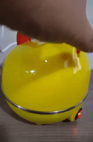 Hervidor De Huevos Gallina Olla Eléctric